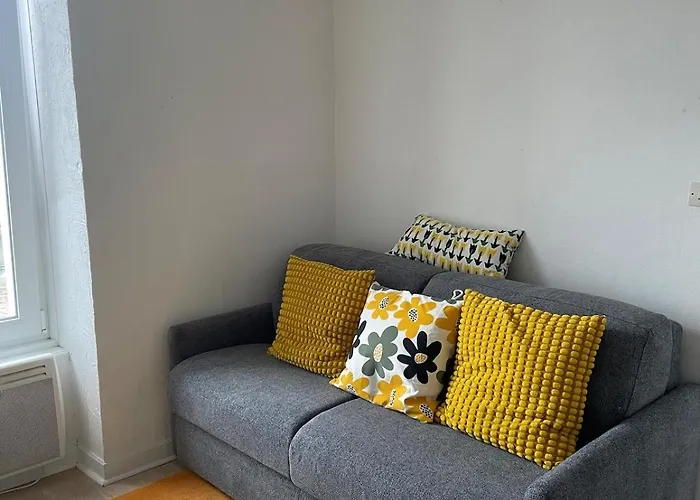 Confort Et Charme En Plein Brest, Vue Sur La Rade *